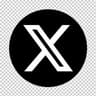 X (Twitter) API
